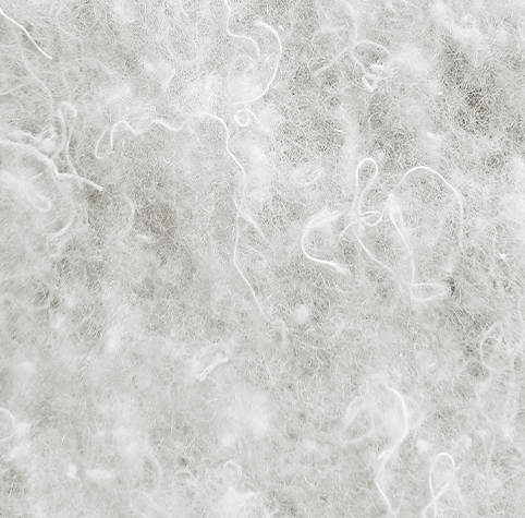 Cotton